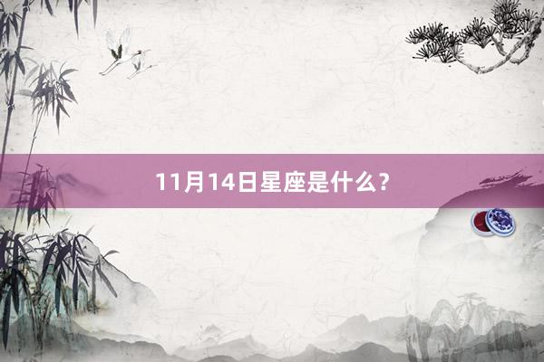 11月14日星座是什么？
